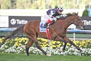 So You Think relation ready for Randwick